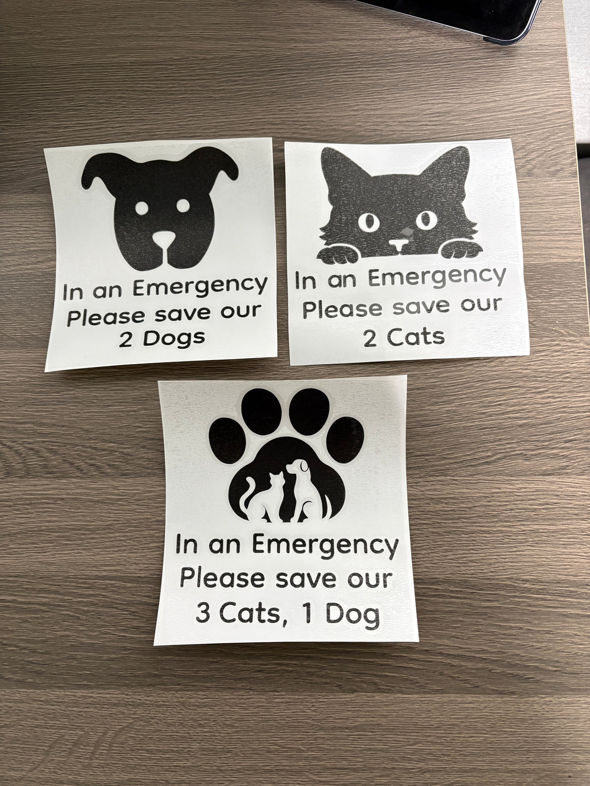 In Case of Emergency pet decal